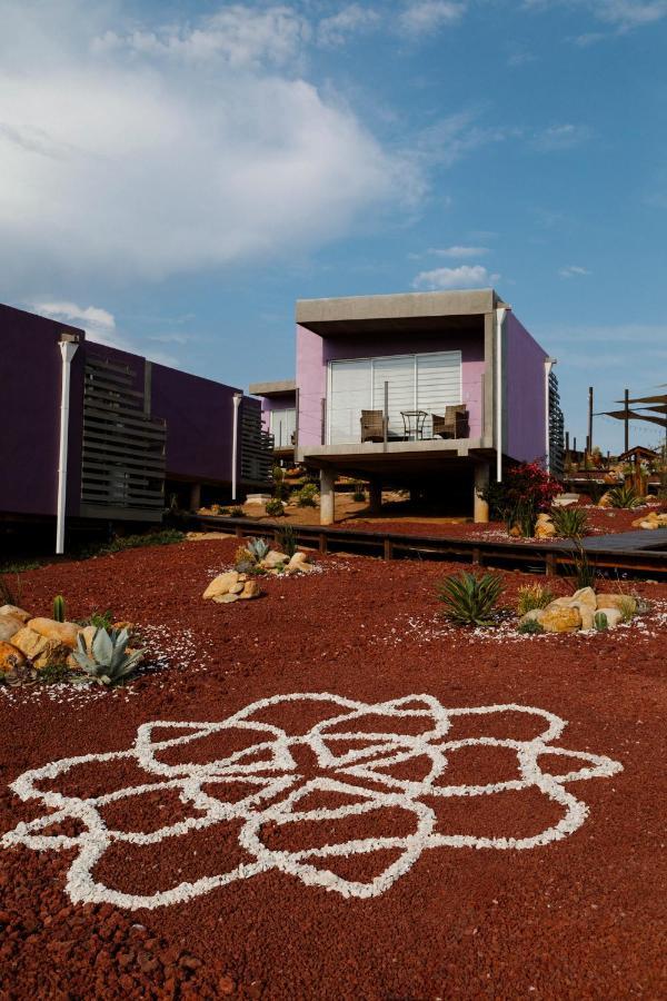 Villa Flor De Cera Valle de Guadalupe Esterno foto