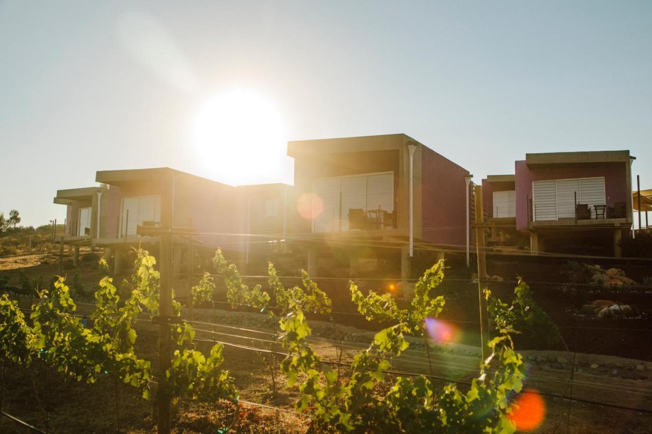 Villa Flor De Cera Valle de Guadalupe Esterno foto