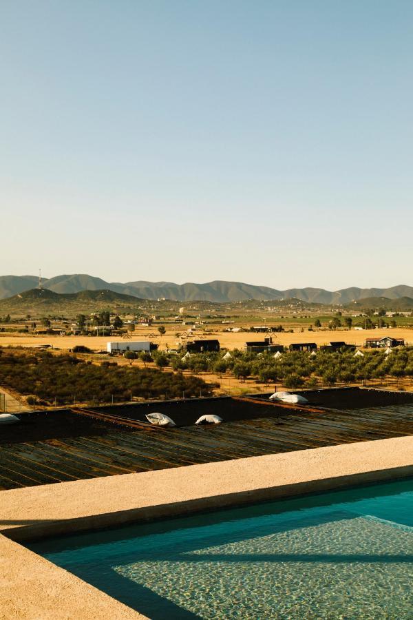 Villa Flor De Cera Valle de Guadalupe Esterno foto